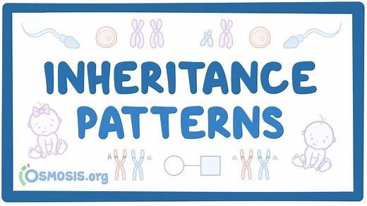Inheritance patterns: Video, Causes, & Meaning | Osmosis