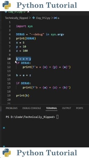Add Debug Mode to Your Python Script | Python Tutorial