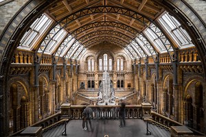 Visit the Natural History Museum, London | englandrover.com