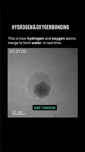 Hydrogen And Oxygen Bonding(details 👇)😍 #trending #experiements #science #short #education