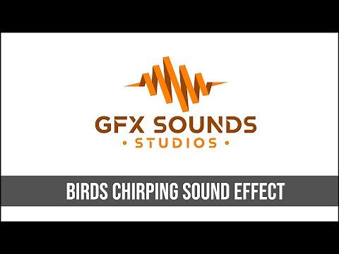 Birds Chirping Sound Effect