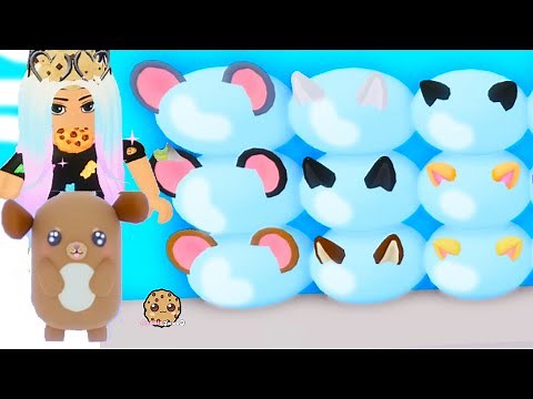 Creating the Cutest Pets in the World - Roblox Pet Show Game Video