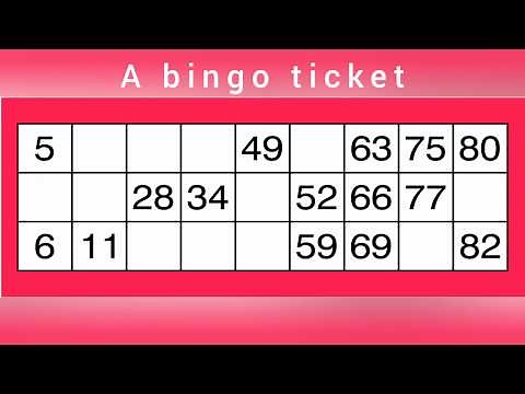 How to play bingo - Easy guide