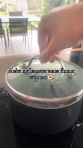 899K views · 41K reactions | Another hamster eating pasta? #reels #lionfieldmusic #comedy #italian #italianfood | Lionfield | Facebook