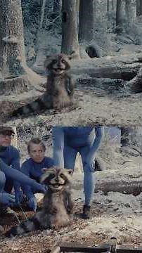 Behind every puppet is a puppeteer dressed like a blueberry. #shorts