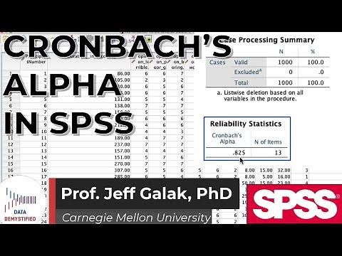 Cronbach's Alpha and Reliability Analysis in SPSS (SPSS Tutorial Video #24);