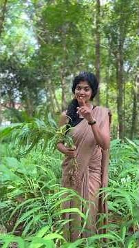 Urban Gardening Guide: How to Start Growing Ginger at Home