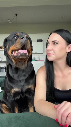 her barking makes me laugh🤣 #rottweiler #bark #dog #funnydog | Gangrottie