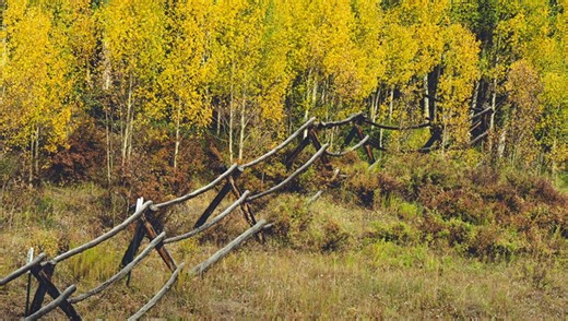 How to Color Grade Images in Lightroom