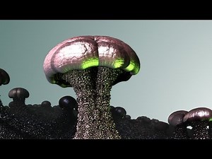 3D Fractal Animation: Surface III - A Tonal Triptych