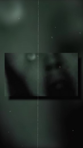 Real or Fake? The Unveiling of the Talking Alien Video