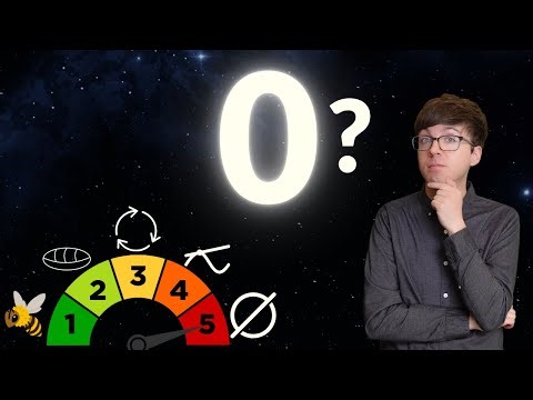 What is 0? From Bee Brains to the Minds of Mathematicians