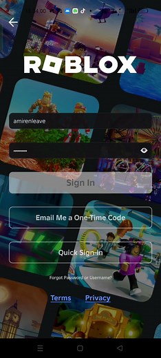 Roblox Support Ticket 126504078