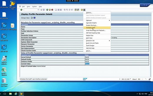 SAP GUI Scripting Tricks, Tips and Basics