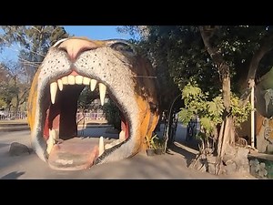 Must-See Zoo Animals! 30 Minutes of Wildlife Wonders