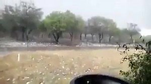 4.4K views | Funny Animated GIF on Reels | Facebook