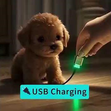 🐾 The Most Realistic Robot Puppy! 🐶 It walks, barks, and wags its tail