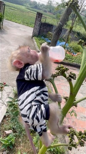 baby so cute😋🍼