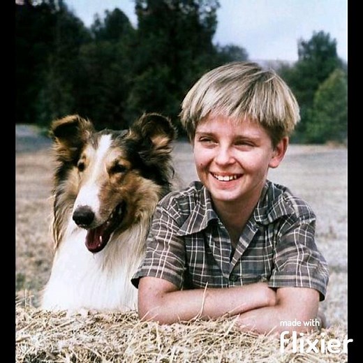 Lassie (Jeff's Collie) Theme Song