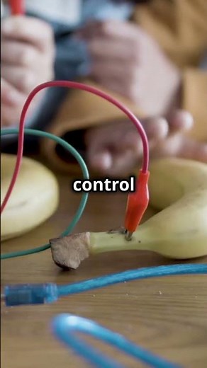 Unlock Raspberry Pi's Power with LabVIEW