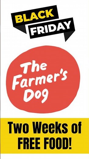 The Farmer's Dog Black Friday Sale! Fresh Dog Food Delivered to Your Home