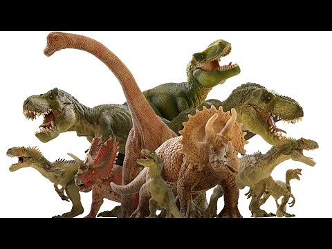 Dinosaurs for kids