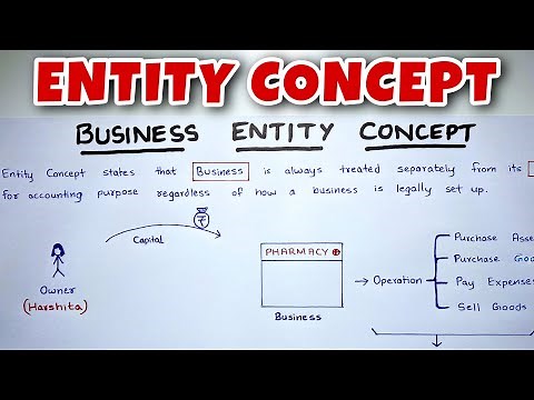 Entity Concept EXPLAINED - By Saheb Academy