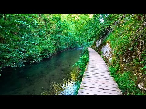 Walking Dovedale to Milldale | One of the Best Walks in Britain