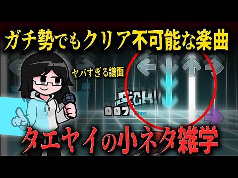 【FNF解説】音ゲーマー発狂…おかしな高難易度楽曲がヤバすぎた… タエヤイに関する小ネタ雑学【Friday Night Funkin】
