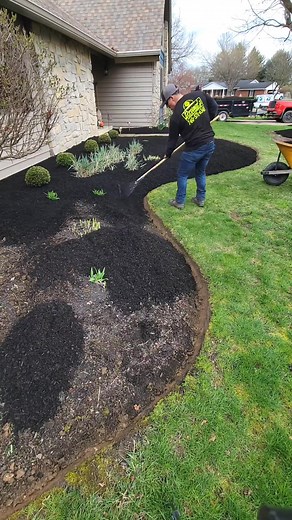 Black Mulch Landscaping Ideas for Your Front Yard