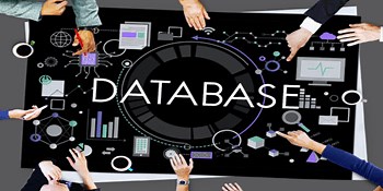 Create SQL Server Database Tables, Foreign Keys and Data