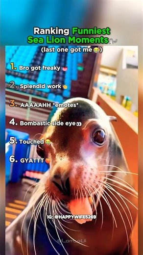 Ranking the Most Unhinged Sea Lion Behavior