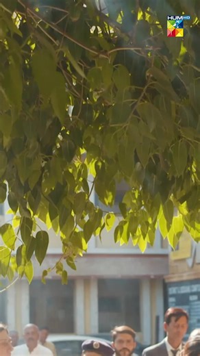 2.9M views · 10K reactions | "Meray bachay ko maaf kar dain!" #HUMTV #MereDamad #Reels #NoorZafarKhan #ShaguftaEjaz #FarhanMalhi #HumayunAshraf #humtvdramas | HUM TV | Facebook