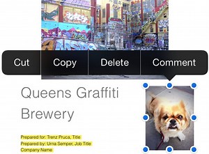 Pages (for iPhone) Review