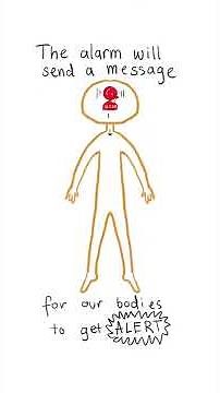 Dan Seigel’s hand model of the brain explained (animated for kids)