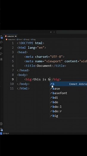 HTML Tags Tutorial – How to Use big and samp (With Examples)