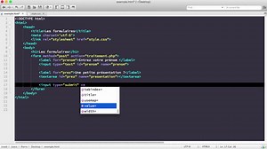 Création d'un formulaire HTML simple - Pierre Giraud