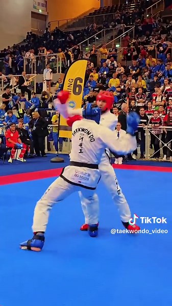ITF Taekwondo Highlights: Precision and Power in Action
