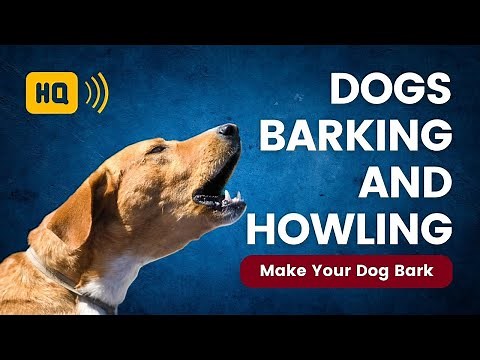 Dogs Barking and Howling 🐕 Sound Effects to Make Your Dog Bark