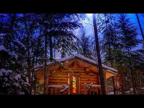In the Forest with my Wife and Dog | Off Grid Log Cabin in the Wilderness