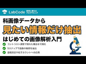 【画像解析入門 #2】ImageJの基本的な使い方！代表的な画像処理（コントラスト調整・輪郭抽出）を実践