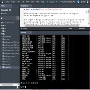 mysql describe table statement on codio