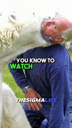32K views · 247 reactions | The MAN with the World's Only Pet POLAR BEAR #bears #teddy #teddybear #polarbear #polarbears #grizzly #grizzlybear #bear #petbear #pet #pets #petsoftiktok #petlover #petlife #animal #animals #animalsoftiktok #animalworld #animallover #wildanimals #joerogan #joeroganpodcast #jre #jreclips | The Sigma Life | Facebook