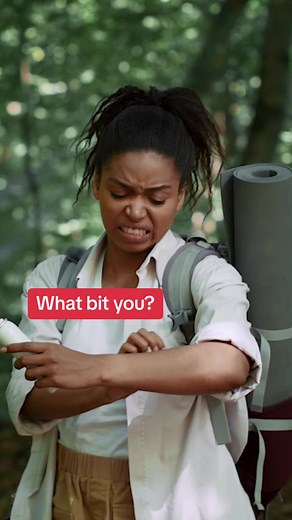 Identifying Bug Bites: Symptoms, Treatment, and Prevention