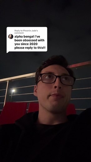 Understanding Bengal Cats: Unique Traits and Care