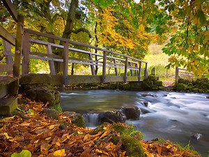5.9K views · 925 reactions | As the first days of Autumn take hold, take a few moments to sit back, relax and enjoy the very special sights of this wonderful time of year in the Peak District National Park. | Let's Go Peak District | Facebook