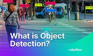 What Is Object Detection? How AI Sees the World