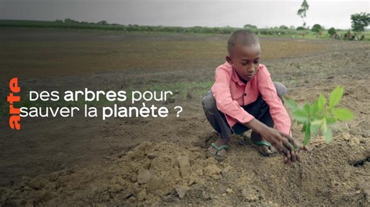 Planter à tout prix - Des arbres pour sauver la planète ? - Regarder le documentaire complet | ARTE