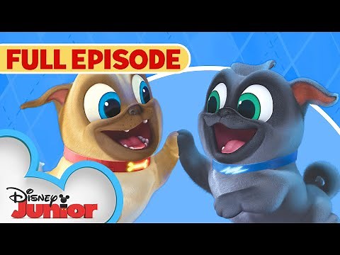 Puppy Dog Pals First Full Episode 🐶 | Hawaii Pug-Oh 🏝️ / A.R.F. | ‪@disneyjr‬​