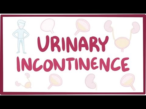 Urinary incontinence - causes, symptoms, diagnosis, treatment, pathology